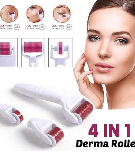 4 In 1 Meso Derma Roller Price In Pakistan