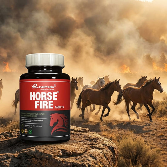 Ayurveda Horse Fire Tablets Benefits And Uses