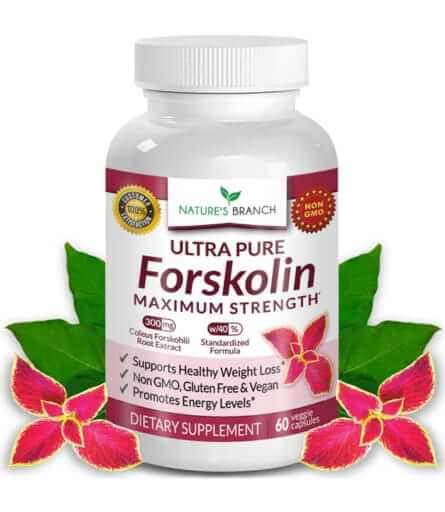 Forskolin for Weight Loss